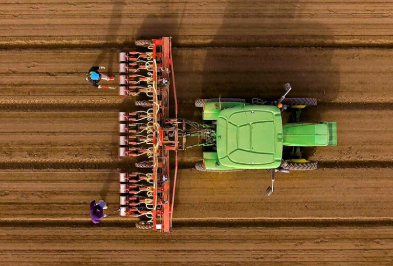 Peri & Sons Farms Case Study